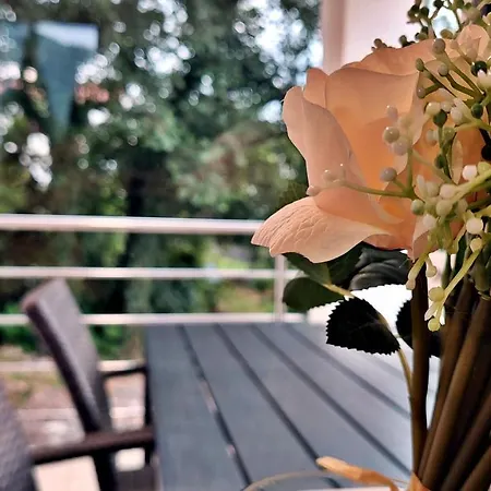 Vinodol 1 And 2 Apartament